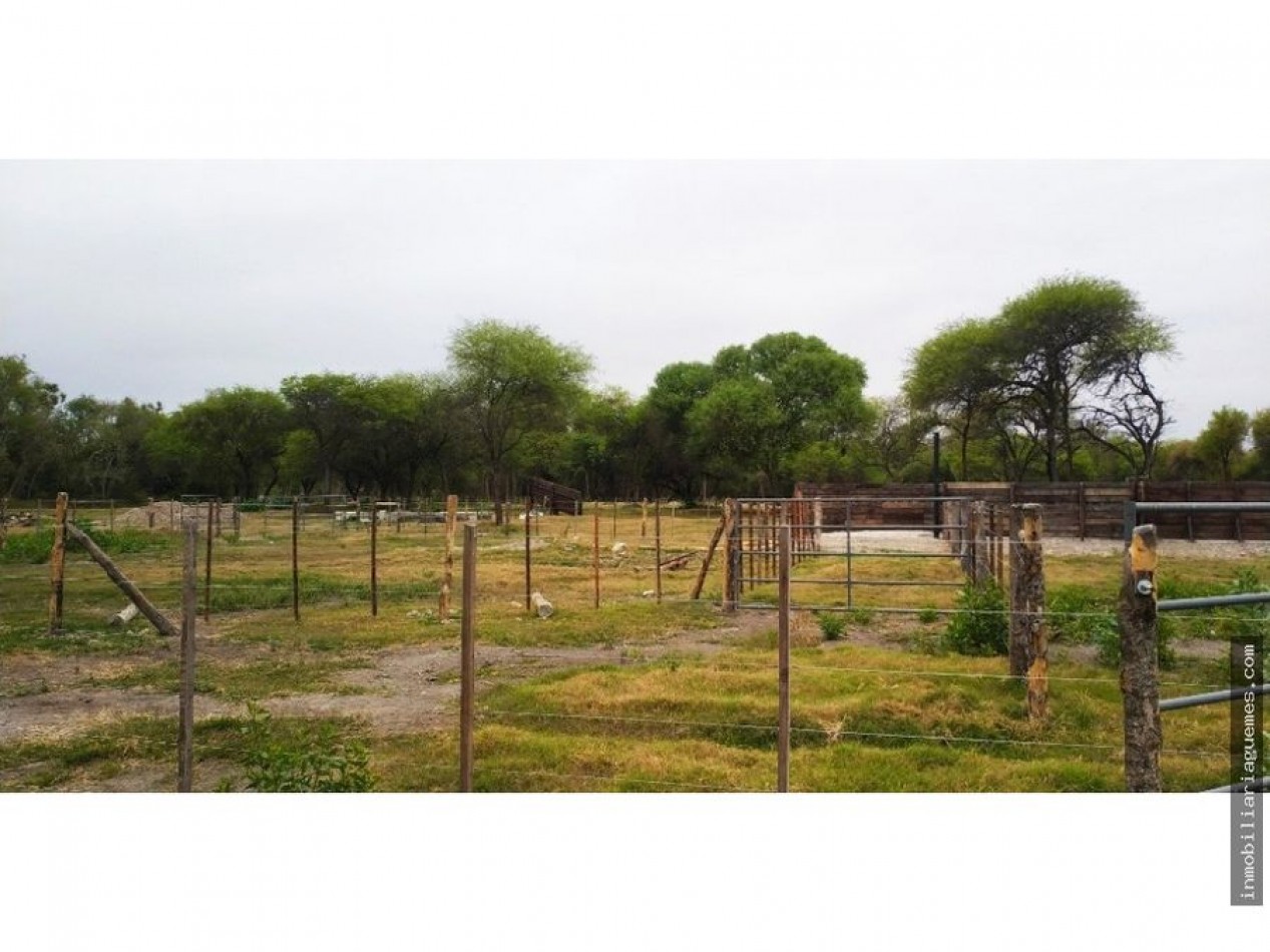 Finca para Feedlot a Estrenar a 15 kms. de Güemes, Salta