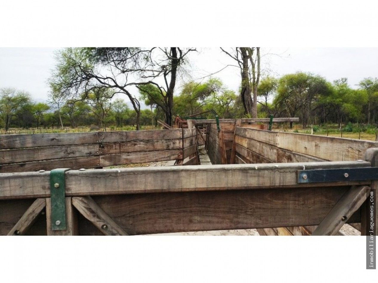 Finca para Feedlot a Estrenar a 15 kms. de Güemes, Salta