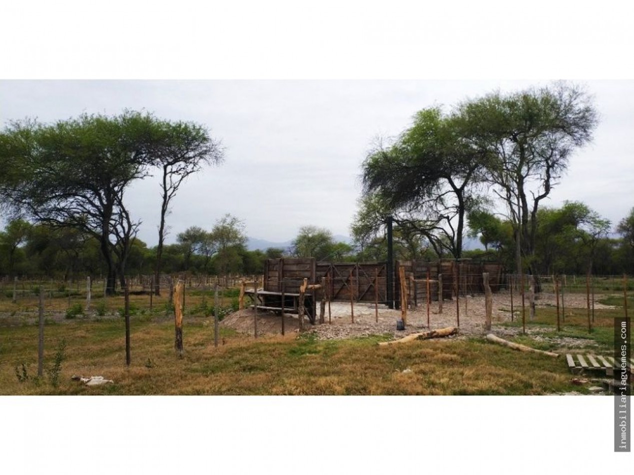 Finca para Feedlot a Estrenar a 15 kms. de Güemes, Salta