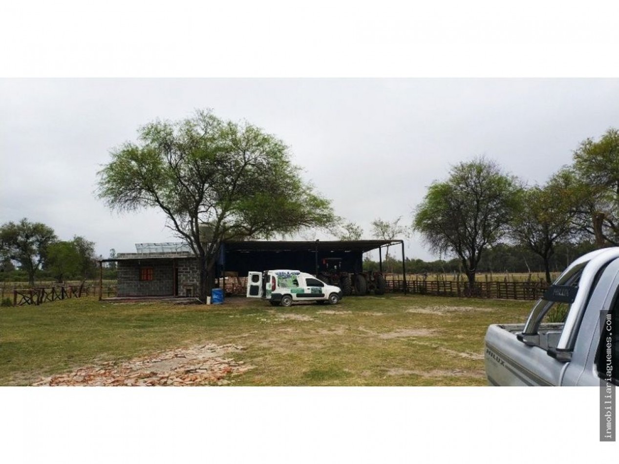 Finca para Feedlot a Estrenar a 15 kms. de Güemes, Salta