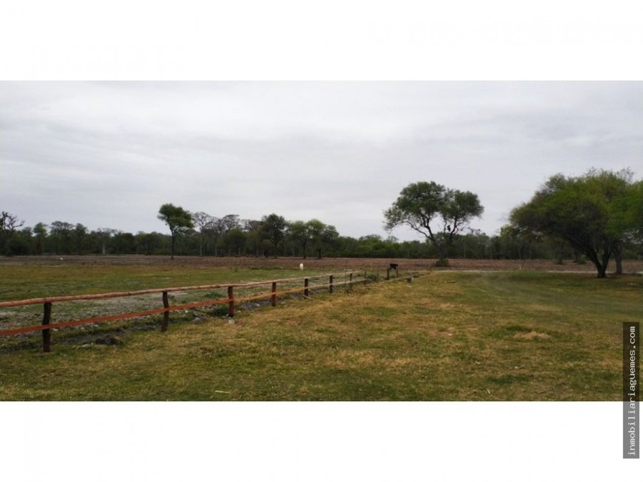 Finca para Feedlot a Estrenar a 15 kms. de Güemes, Salta