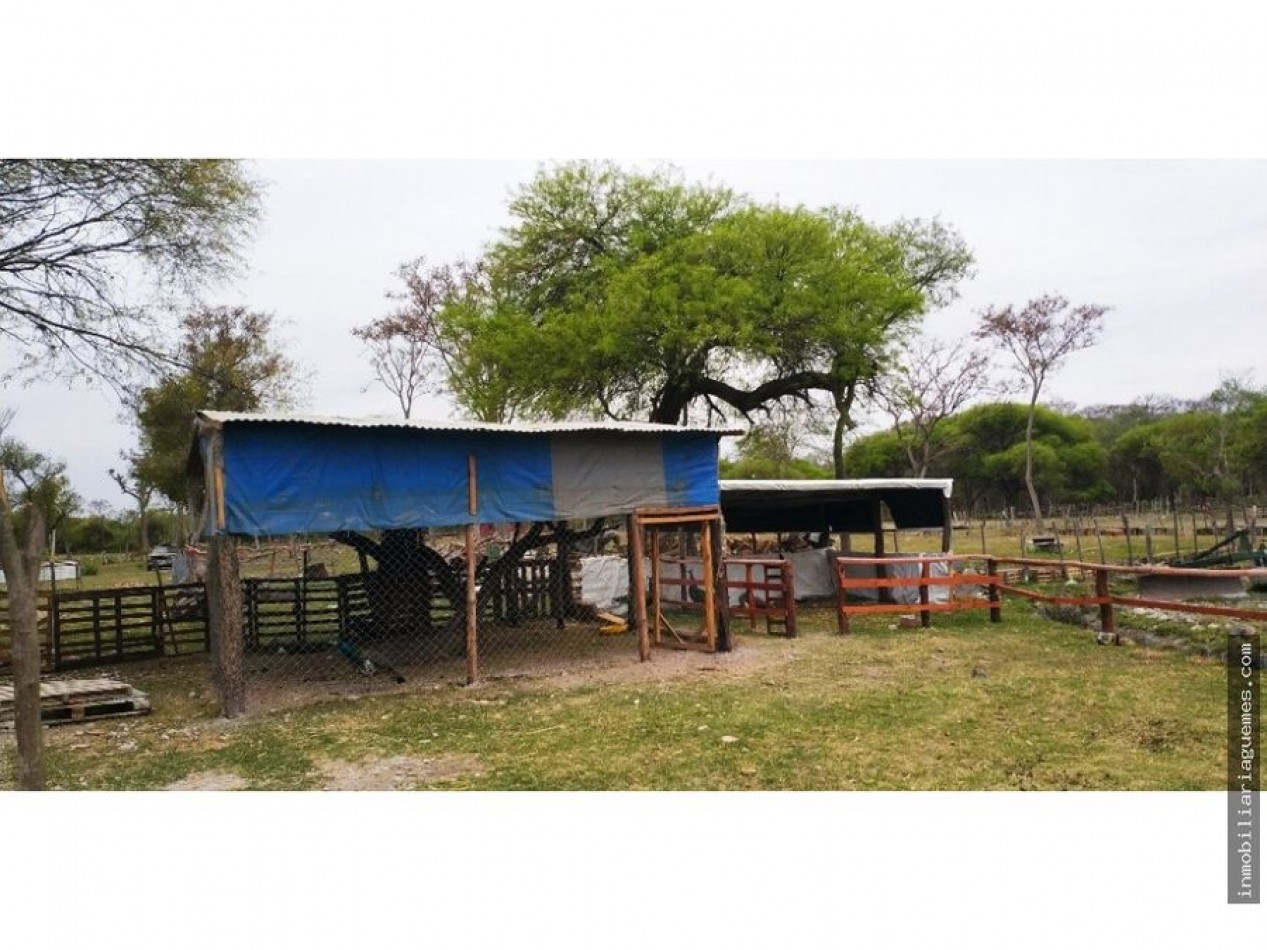 Finca para Feedlot a Estrenar a 15 kms. de Güemes, Salta