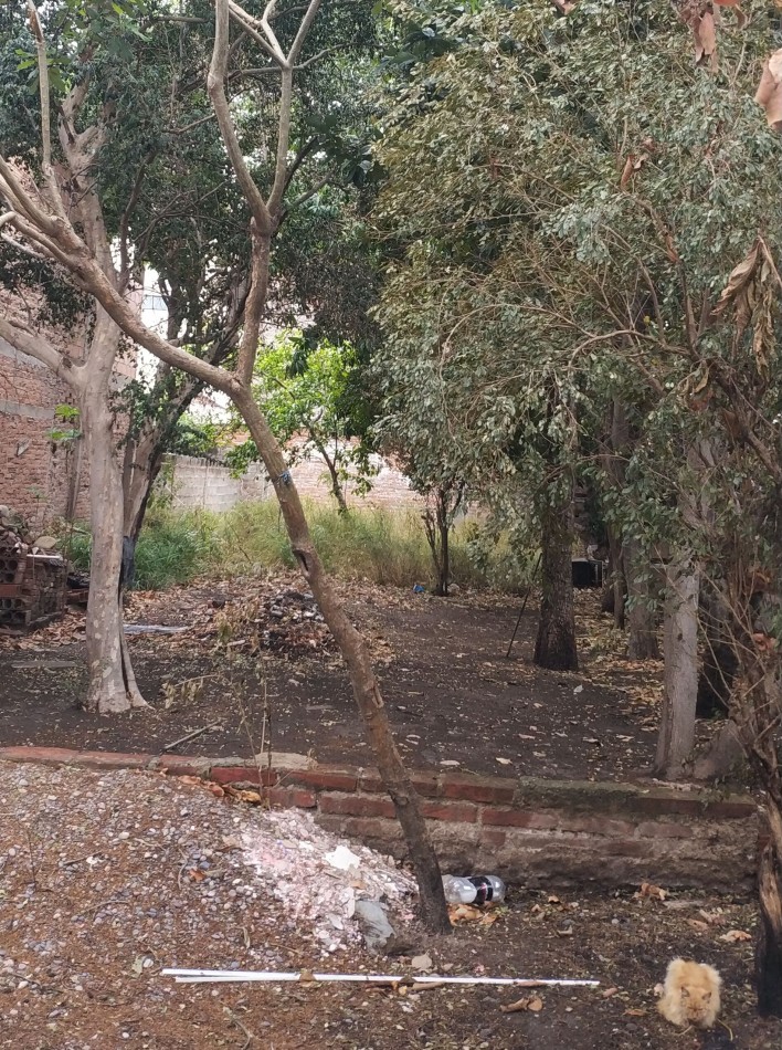 Gral.Guemes: CENTRICA