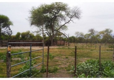 Finca para Feedlot a Estrenar a 15 kms. de Güemes, Salta